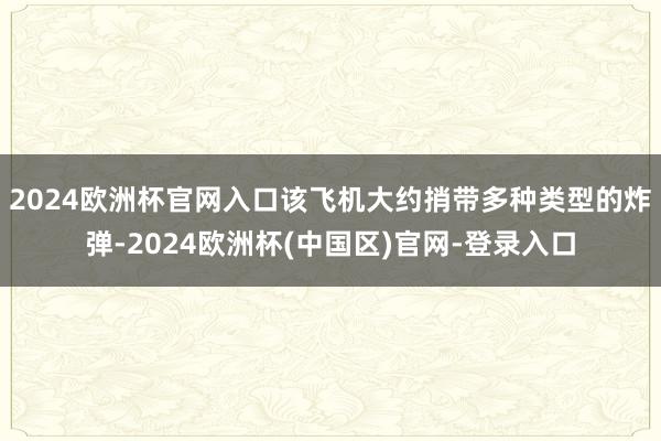 2024欧洲杯官网入口该飞机大约捎带多种类型的炸弹-2024欧洲杯(中国区)官网-登录入口