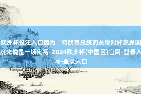 欧洲杯投注入口因为＂特朗普总统的关税对好意思国经济来说是一场倒霉-2024欧洲杯(中国区)官网-登录入口