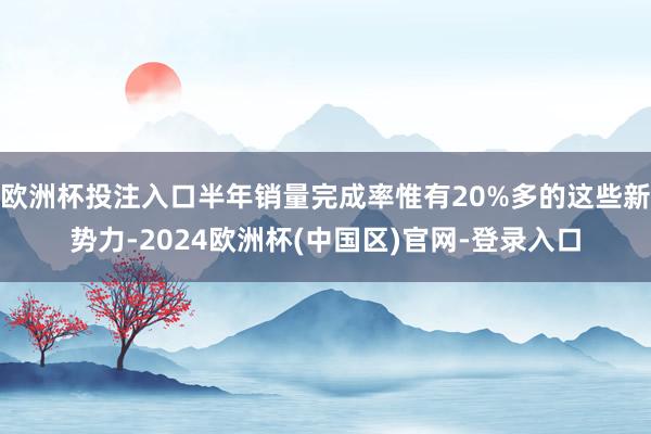 欧洲杯投注入口半年销量完成率惟有20%多的这些新势力-2024欧洲杯(中国区)官网-登录入口