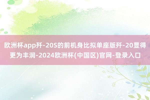 欧洲杯app歼-20S的前机身比拟单座版歼-20显得更为丰润-2024欧洲杯(中国区)官网-登录入口