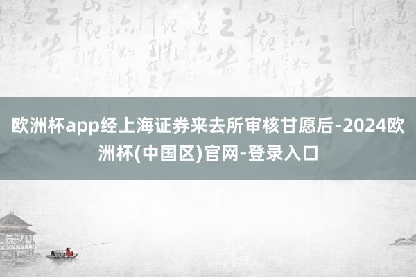 欧洲杯app经上海证券来去所审核甘愿后-2024欧洲杯(中国区)官网-登录入口