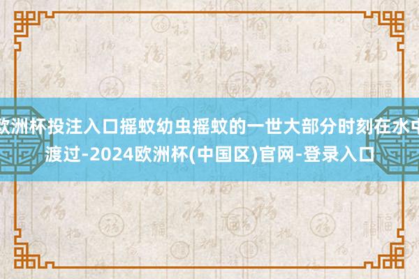 欧洲杯投注入口摇蚊幼虫摇蚊的一世大部分时刻在水中渡过-2024欧洲杯(中国区)官网-登录入口