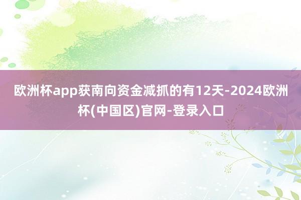 欧洲杯app获南向资金减抓的有12天-2024欧洲杯(中国区)官网-登录入口