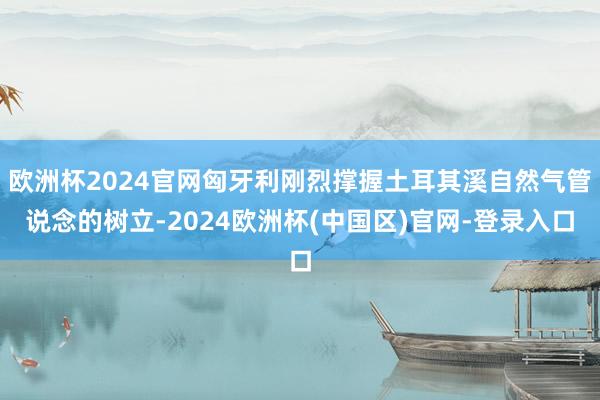 欧洲杯2024官网匈牙利刚烈撑握土耳其溪自然气管说念的树立-2024欧洲杯(中国区)官网-登录入口