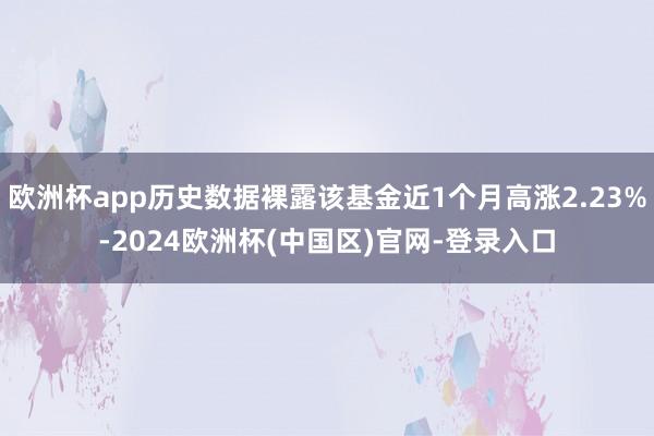 欧洲杯app历史数据裸露该基金近1个月高涨2.23%-2024欧洲杯(中国区)官网-登录入口