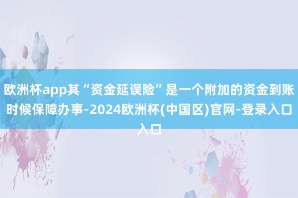 欧洲杯app其“资金延误险”是一个附加的资金到账时候保障办事-2024欧洲杯(中国区)官网-登录入口
