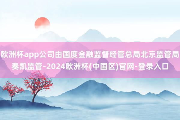欧洲杯app公司由国度金融监督经管总局北京监管局奏凯监管-2024欧洲杯(中国区)官网-登录入口