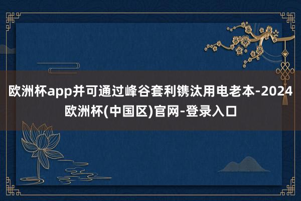 欧洲杯app并可通过峰谷套利镌汰用电老本-2024欧洲杯(中国区)官网-登录入口