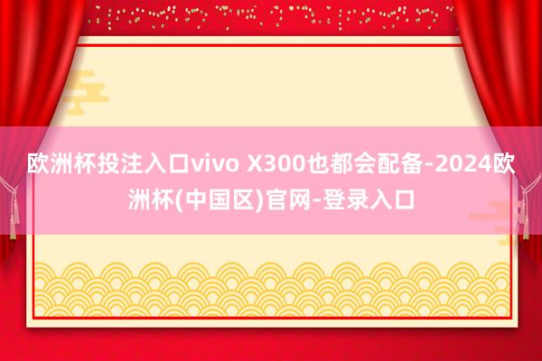 欧洲杯投注入口vivo X300也都会配备-2024欧洲杯(中国区)官网-登录入口