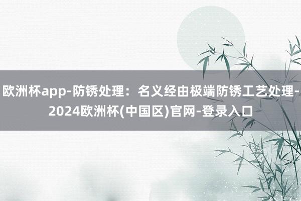 欧洲杯app-防锈处理：名义经由极端防锈工艺处理-2024欧洲杯(中国区)官网-登录入口