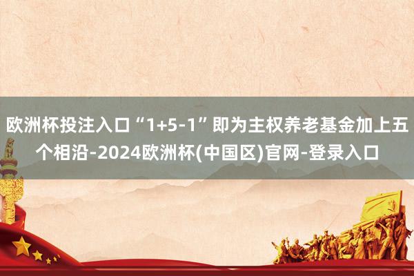欧洲杯投注入口“1+5-1”即为主权养老基金加上五个相沿-2024欧洲杯(中国区)官网-登录入口